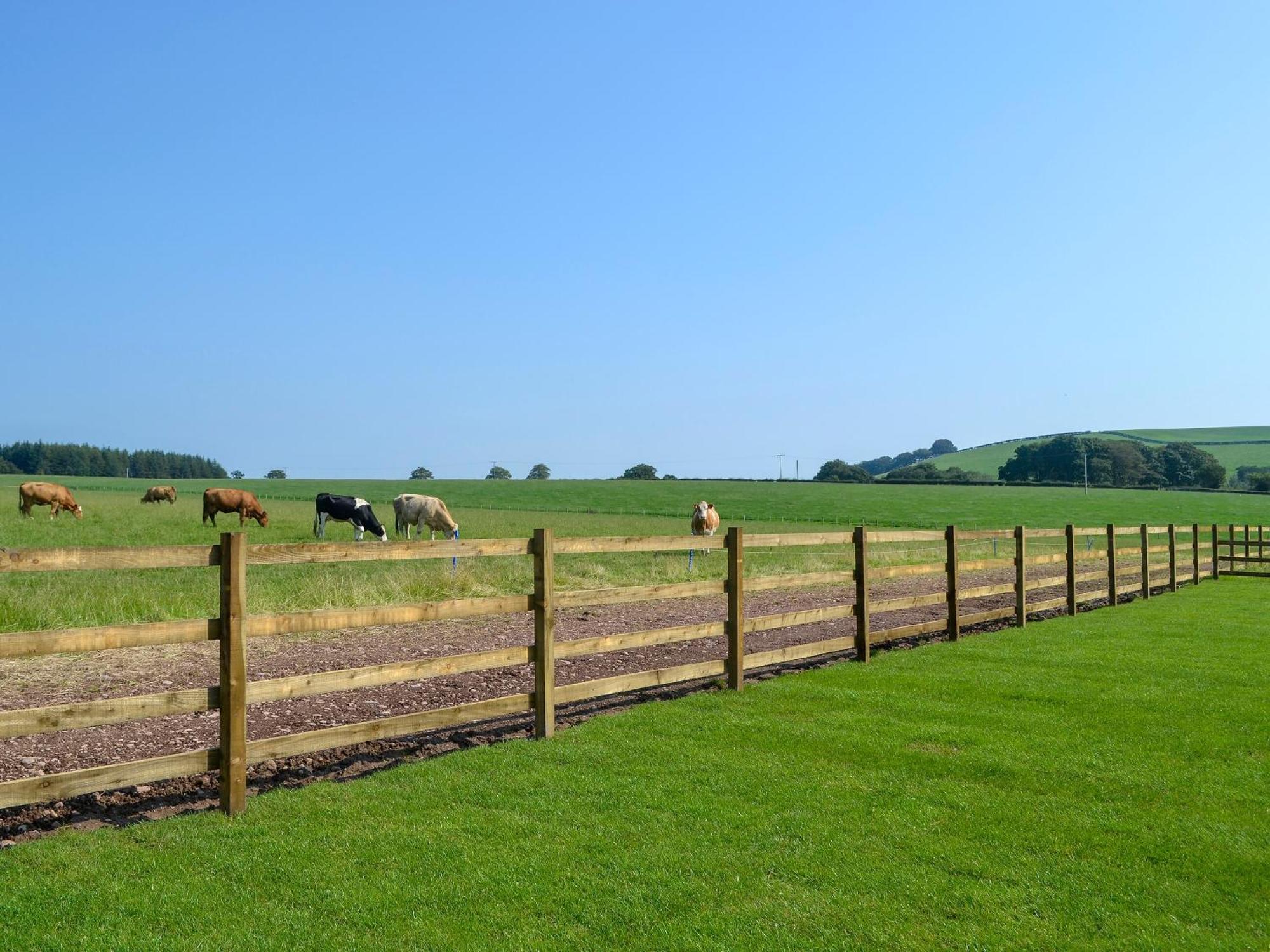 Auchen Ladder Villa Amisfield Town Exteriör bild